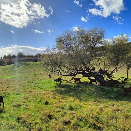 Agriturismo Podere Le Fornaci Greve in Chianti Buitenkant foto