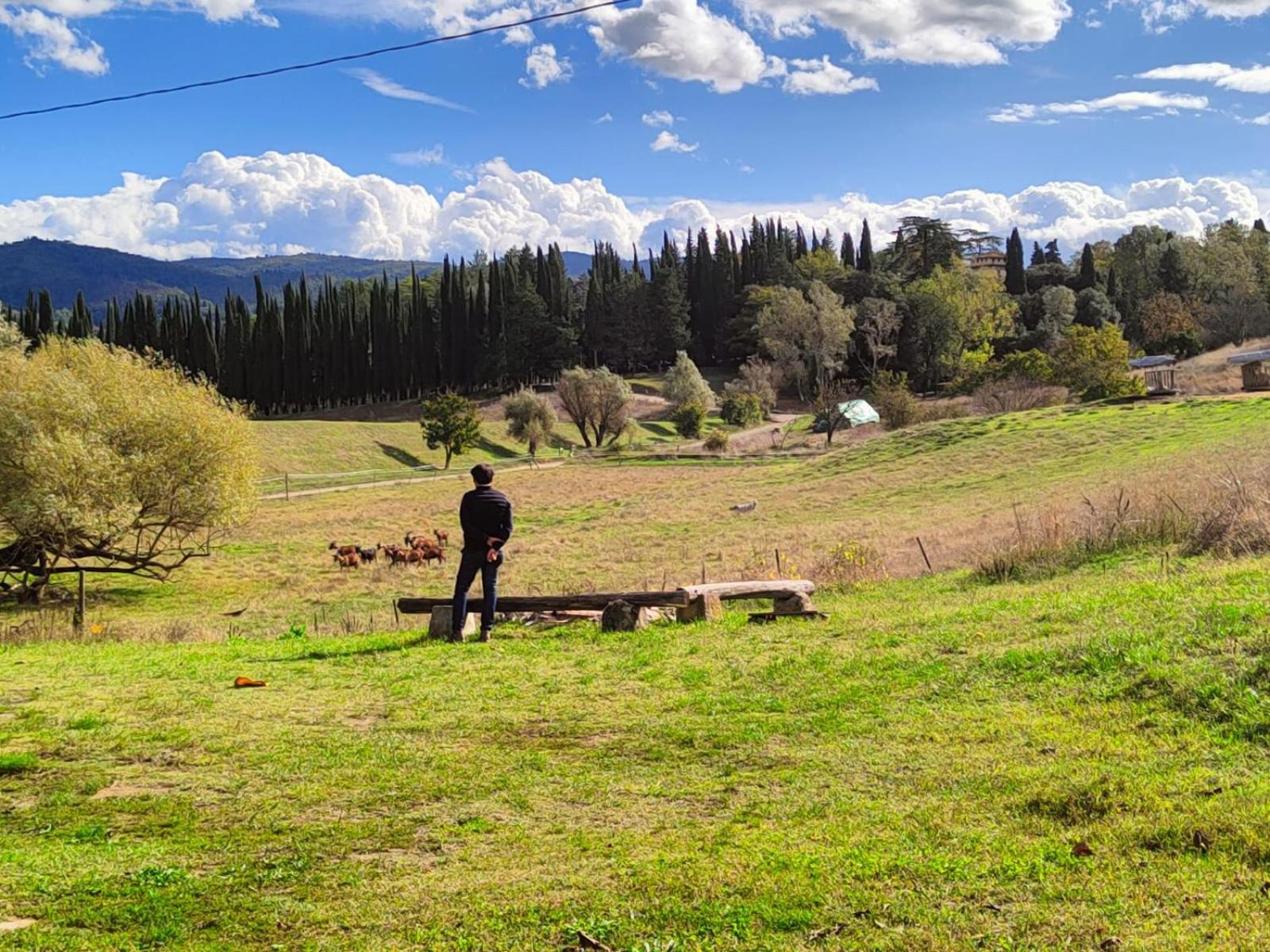 Agriturismo Podere Le Fornaci Greve in Chianti Buitenkant foto